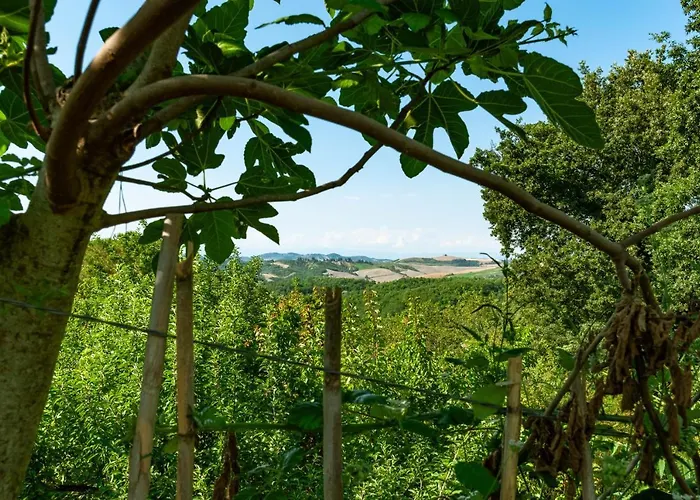 Centro Studi Nuovarmonia
