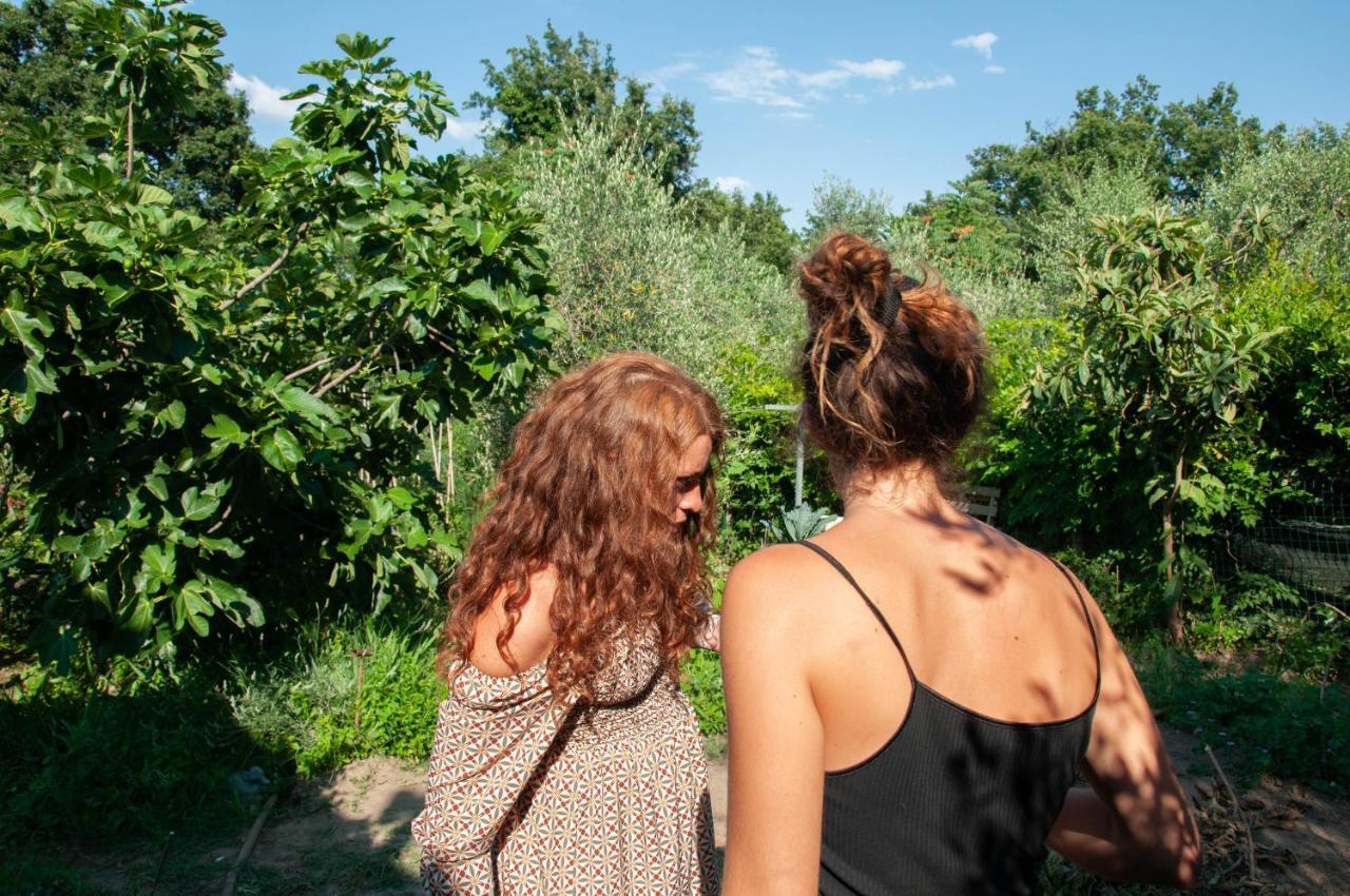 Hostel Centro Studi Nuovarmonia Cedri